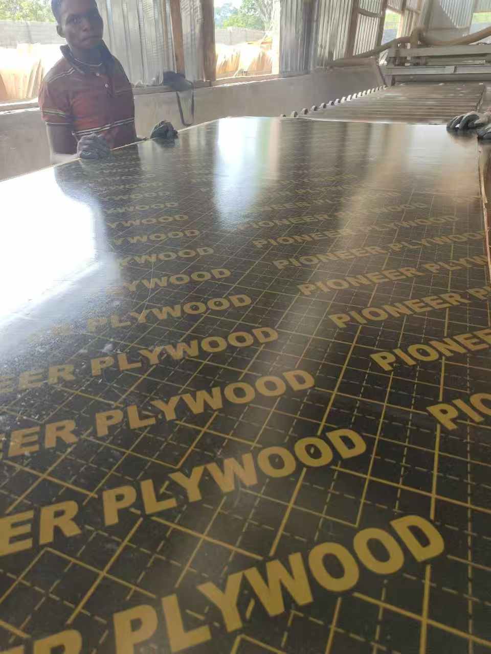 Finished Pioneer plywood